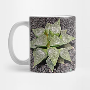 Haworthia Retusa Mug